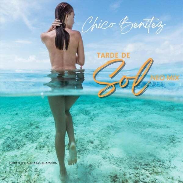 Cover art for Tarde De Sol (Neo Mix)